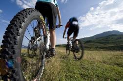 La Valle Serina è stata recentemente riscoperta come luogo in cui praticare la mountain bike. Se siete amanti delle due ruote a avete bisogno di un luogo pratico in cui dormire e soggiornare, il bed and breakfast la Volpe fa per voi!